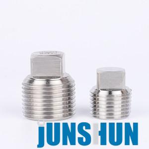 SS304 Square head plug