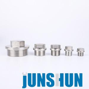 SS304 hex head plug